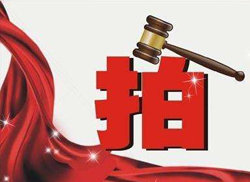 江苏省高级人民法院：关于进一步提高网络司法拍卖规范化水平的指导意见