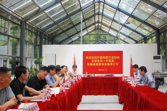 中国拍卖行业协会会长王波调研安徽省拍卖协会